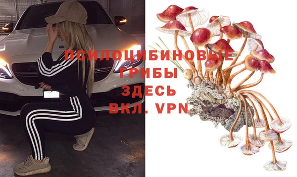 дживик Ростов