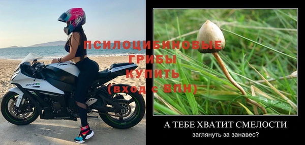 крисы Абдулино