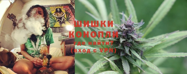 крисы Абдулино