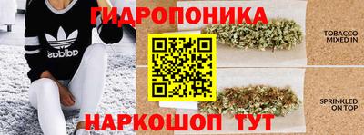 СК Коммунар