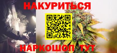дмт Кингисепп