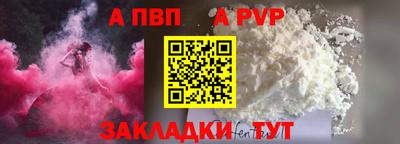 дмт Кингисепп