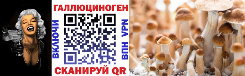 Галлюциногенные грибы мицелий  закладки  Знаменск 