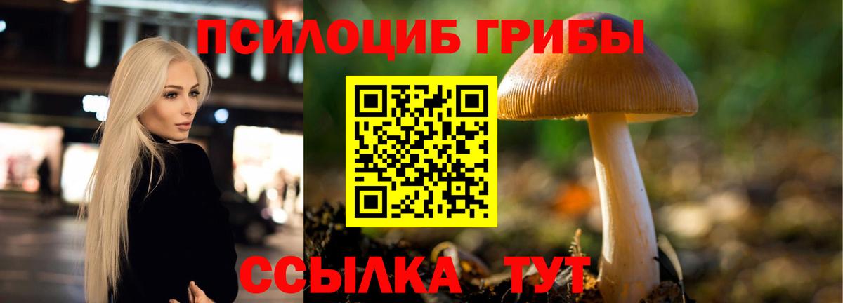 Псилоцибиновые грибы Psilocybine cubensis  Вход с VPN  Знаменск 