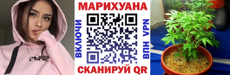 Бошки марихуана MAZAR  Знаменск 